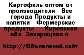 Картофель оптом от производителя - Все города Продукты и напитки » Фермерские продукты   . Кировская обл.,Захарищево п.